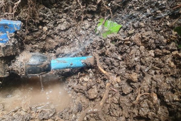 Water Mains Leak Detection Hastings